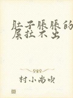 肚子胀胀的想拉屎拉不出