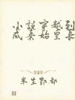 小说穿越到秦朝成秦始皇长子