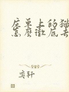 床单上的猫尿味怎么彻底去除