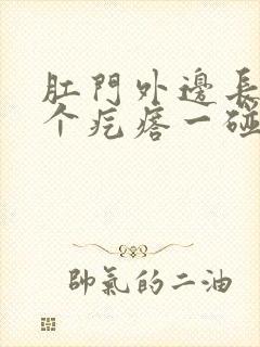 肛门外边长了一个疙瘩一碰就疼封面