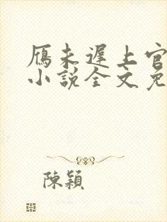 雁未迟上官穿越小说全文免费阅读