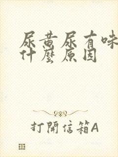 尿黄尿有味道是什么原因