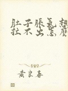 肚子胀气想拉屎拉不出怎么办