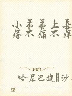 小弟弟上长小疙瘩不痛不痒