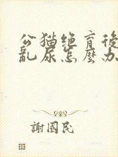 公猫绝育后还是乱尿怎么办封面