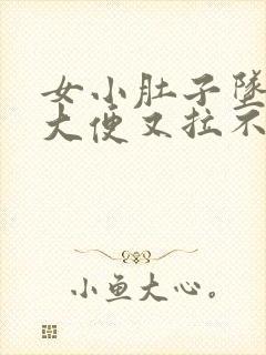 女小肚子坠疼想大便又拉不出来封面