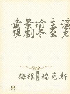 黄景瑜主演的电视剧冬至免费观看