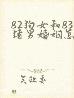82狗女和83猪男婚姻怎么样封面