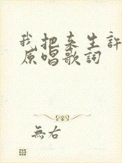 我把来生许给你原唱歌词封面