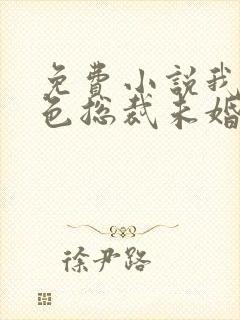 免费小说我的绝色总裁未婚妻