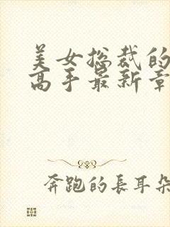 美女总裁的极品高手最新章节封面