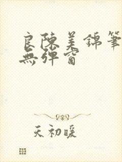 良陈美锦笔趣阁无弹窗