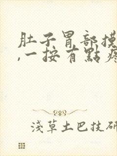 肚子胃部摸着硬,一按有点疼