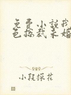 免费小说我的绝色总裁未婚妻