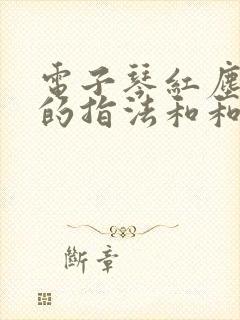 电子琴红尘情歌的指法和和弦封面