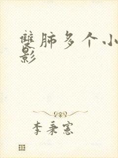 双肺多个小结节影