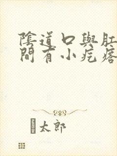 阴道口与肛门之间有小疙瘩