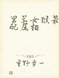 男羊女猴最佳婚配属相