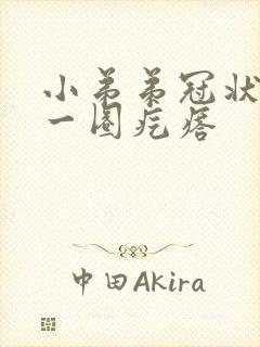 小弟弟冠状沟有一圈疙瘩