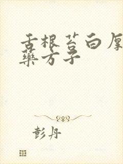 舌根苔白厚腻中药方子