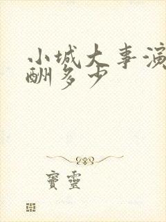 小城大事演员片酬多少