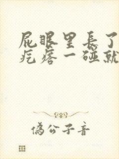屁眼里长了个硬疙瘩一碰就很疼