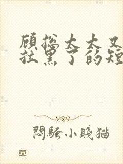 顾总太太又把你拉黑了的短剧