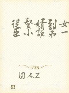 从赘婿到女帝宠臣小说第一部封面