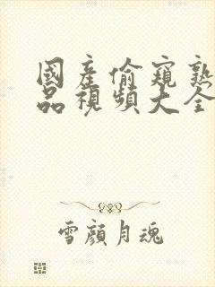 国产偷窥熟女精品视频大全1