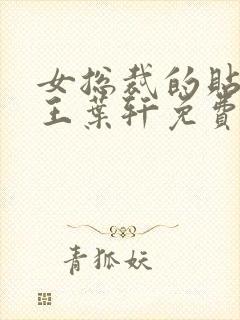 女总裁的贴身兵王叶轩免费阅读