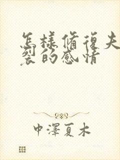 怎样修复夫妻破裂的感情封面