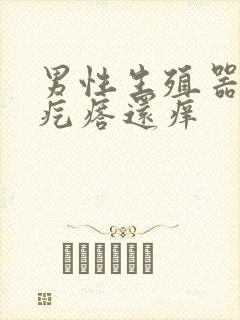 男性生殖器长小疙瘩还痒