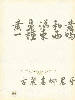 黄鼻涕和黄痰是一种东西吗