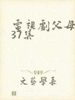 电视剧父母爱情37集