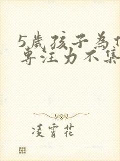 5岁孩子为什么专注力不集中