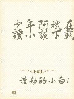 少年阿斌在线阅读小说下载全文