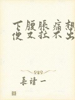 下腹胀痛想拉大便又拉不出来难受