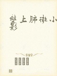 双上肺微小结节影