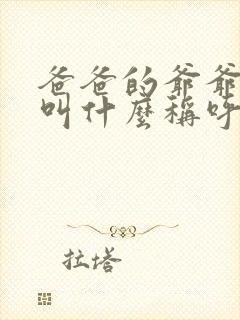 爸爸的爷爷奶奶叫什么称呼