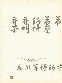 哥哥的弟弟的儿子叫什么