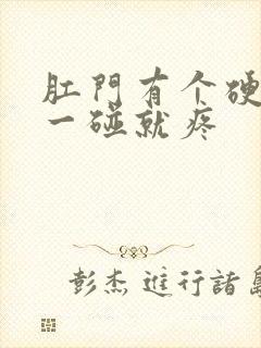 肛门有个硬疙瘩一碰就疼