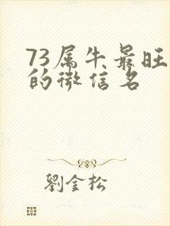 73属牛最旺财的微信名