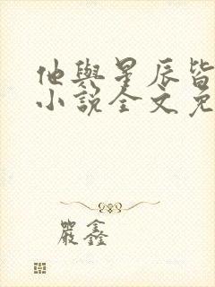 他与星辰皆璀璨小说全文免费阅读