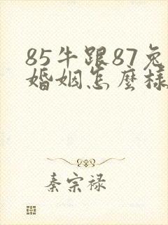 85牛跟87兔婚姻怎么样封面