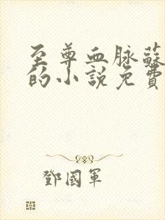 至尊血脉苏铭渊的小说免费阅读封面