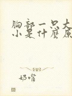 胸部一只大一只小是什么原因