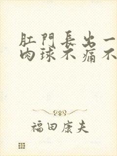 肛门长出一个小肉球不痛不痒