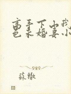 高手下山我的绝色未婚妻小说