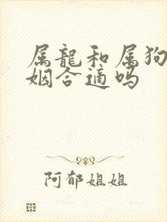 属龙和属狗的婚姻合适吗