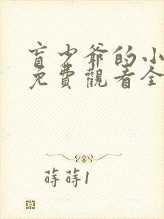 盲少爷的小女仆免费观看全集